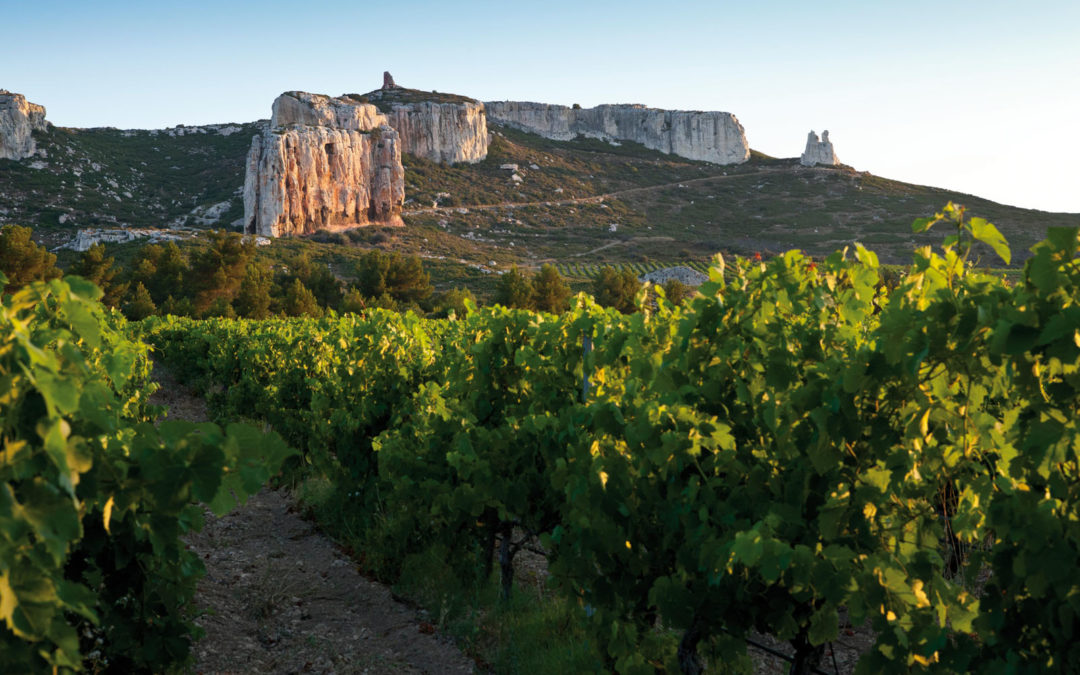 Les plus beaux vignobles de France