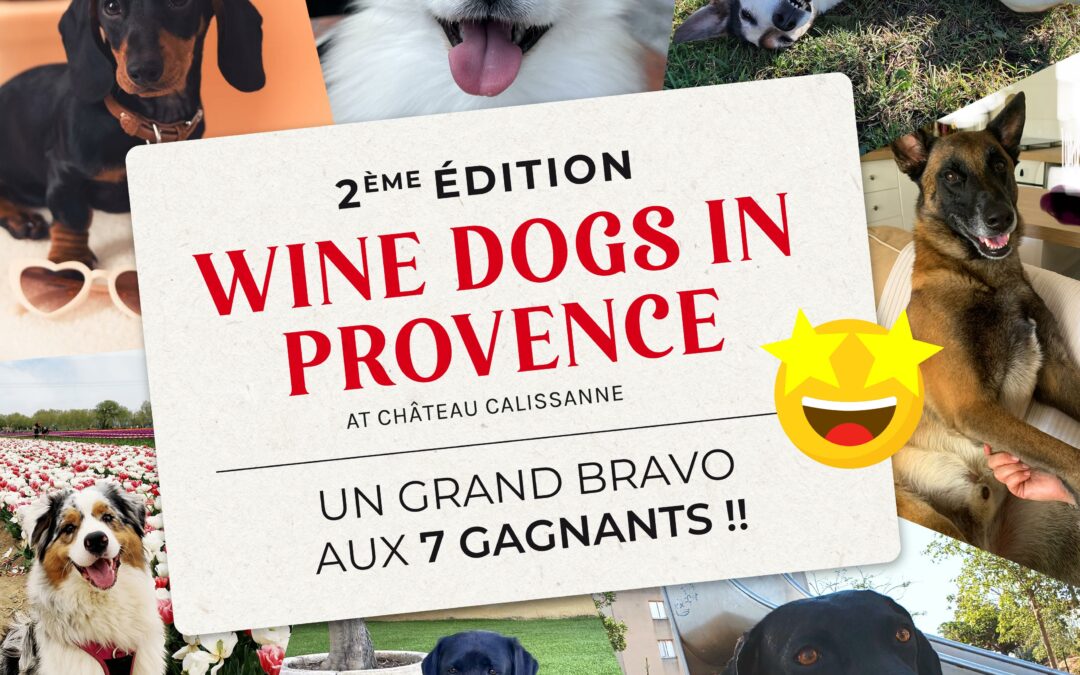 Les gagnants du concours  Winedogs in Provence 2024