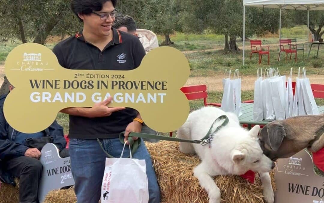 Winedogs in Provence 2024 • 2ème édition