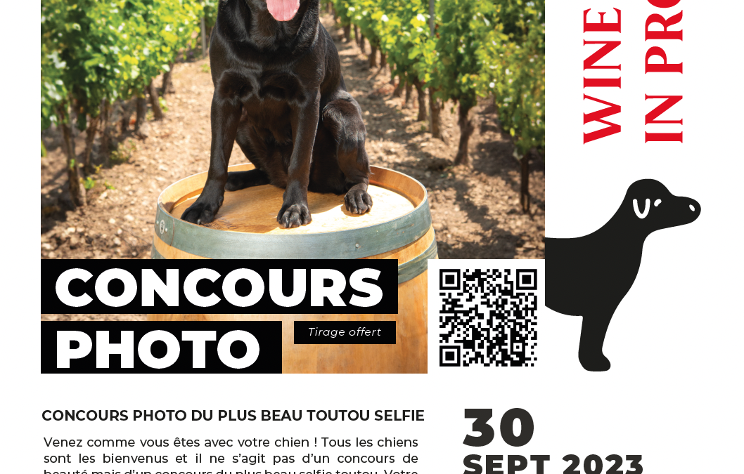 Wine dogs in Provence Affiche