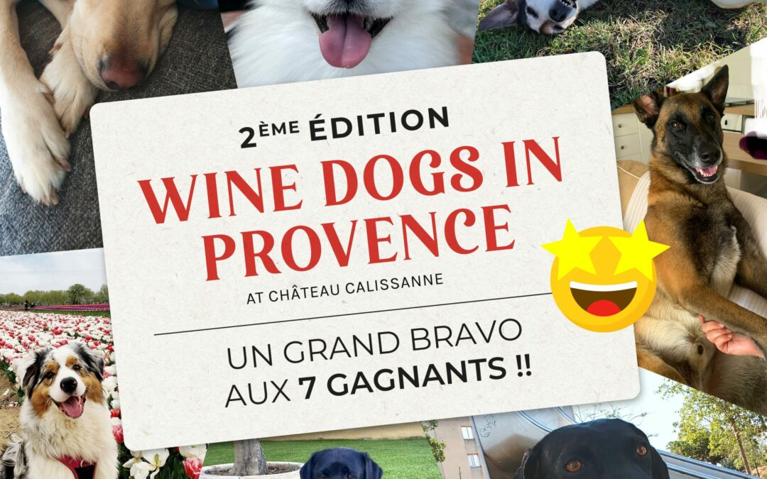 winedog-les-7-gagnants